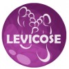 Levicose - gel za zdravljenje krčnih žil