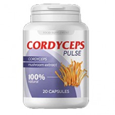 Cordyceps Pulse - za normalizacijo krvnega tlaka