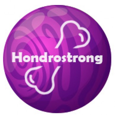 Hondrostrong - zdravilo za zdravljenje sklepov